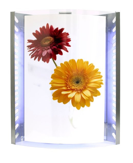 Protihmyzová pasca KL 37